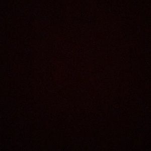 Meet your Posher, Lebo